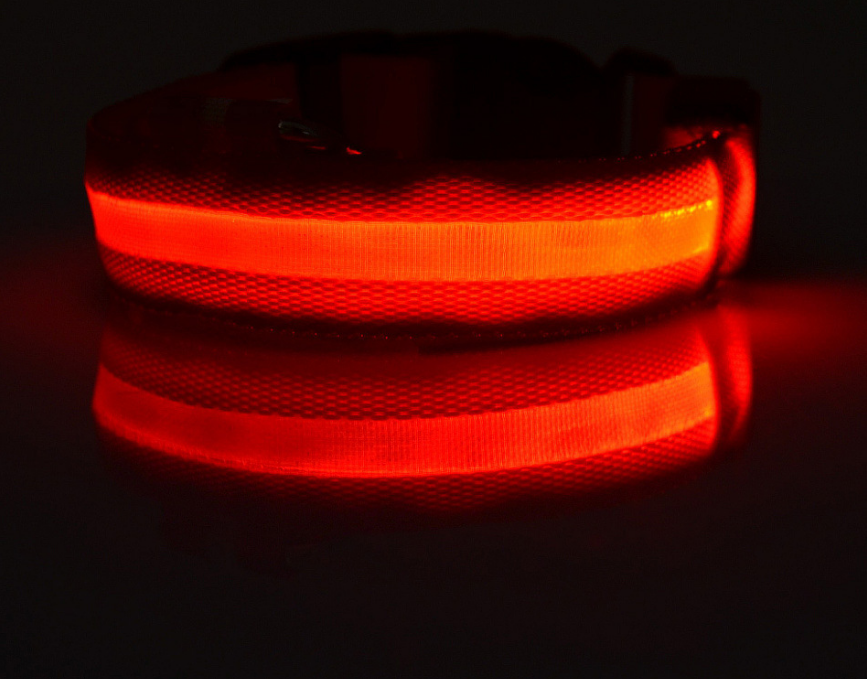 Glow - Hundehalsband