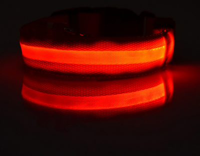 Glow - Hundehalsband