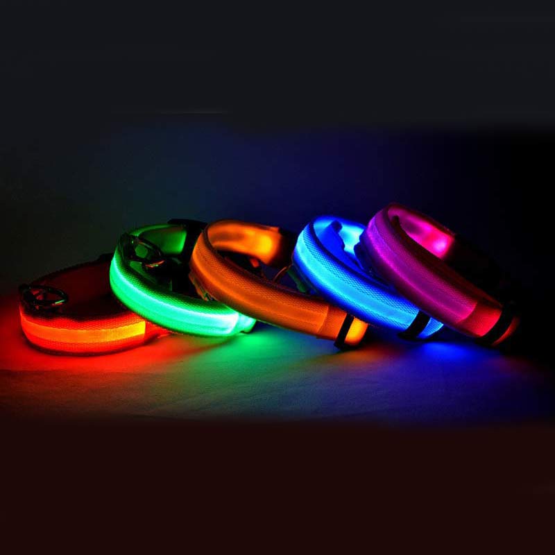 Glow - Hundehalsband