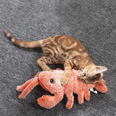 Flippy der Hummer 🦞