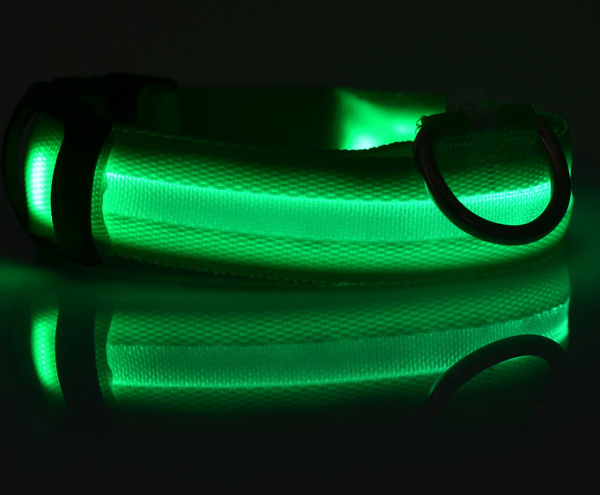 Glow - Hundehalsband