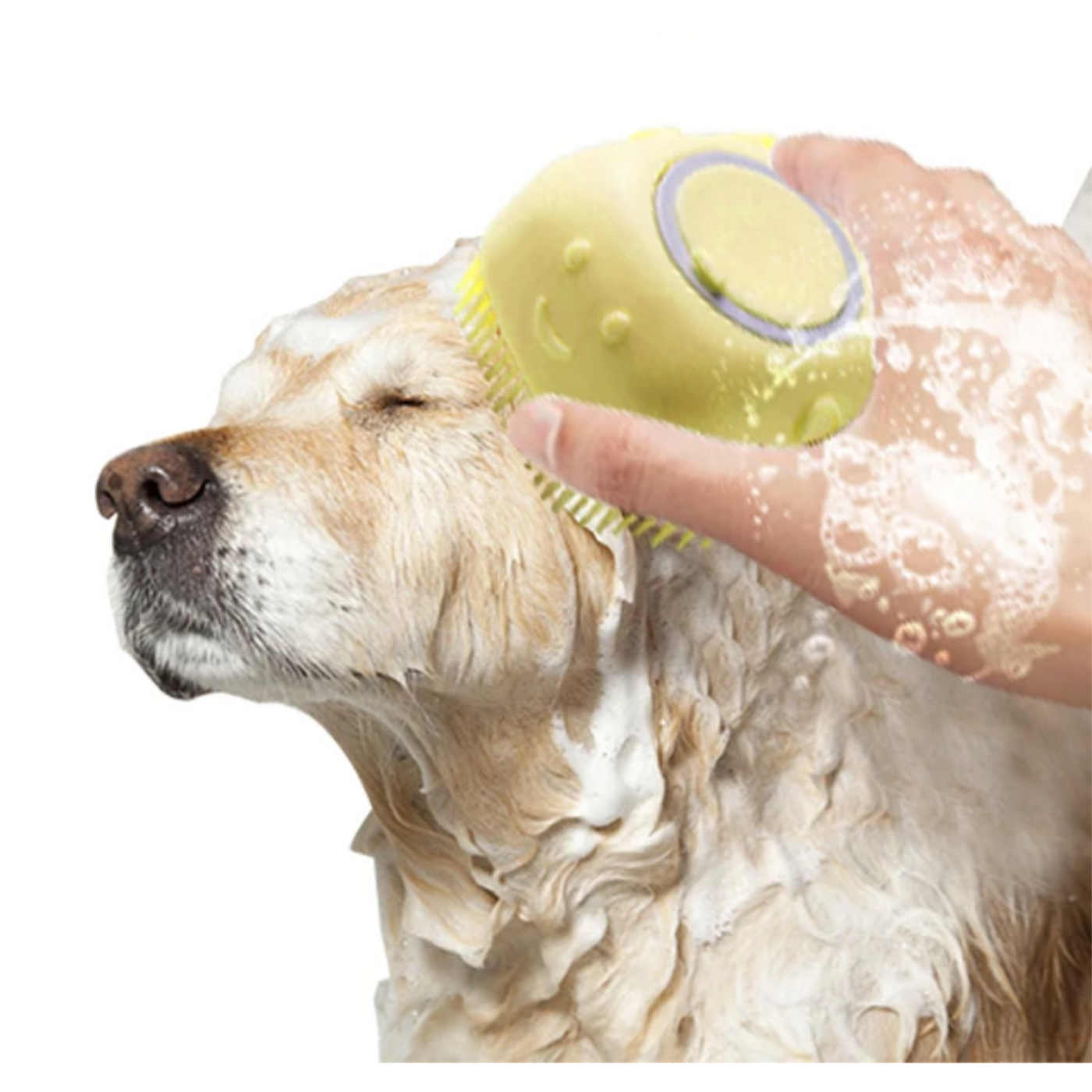 Gift Buddy Happy Shower