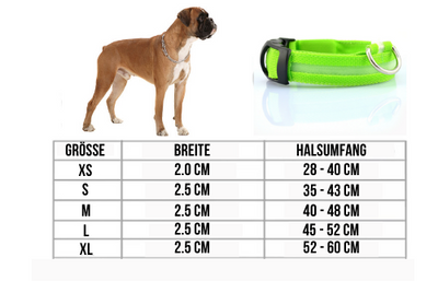 Glow - Hundehalsband