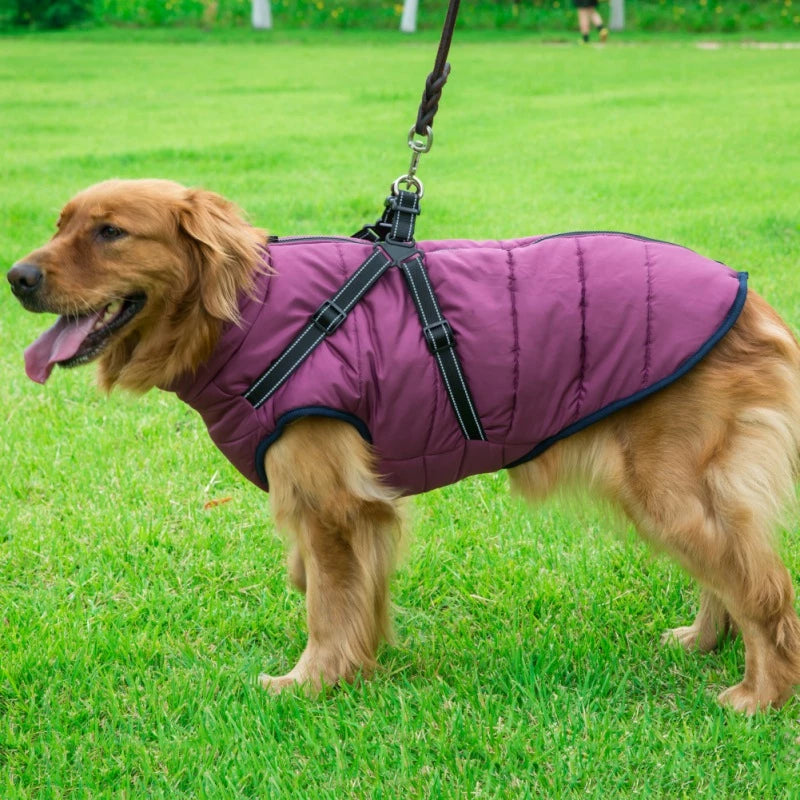 Fashion & Sports Hunde Jacke