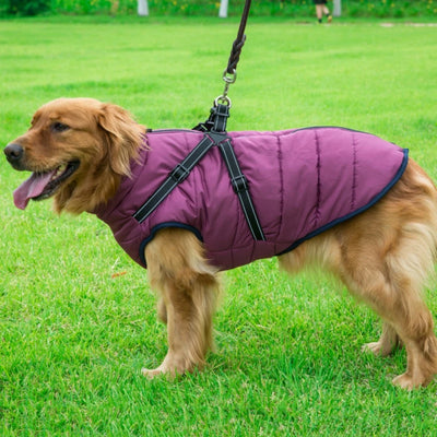 Fashion & Sports Hunde Jacke