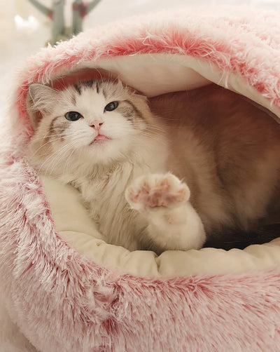 Kuschlig warmes Katzenbett