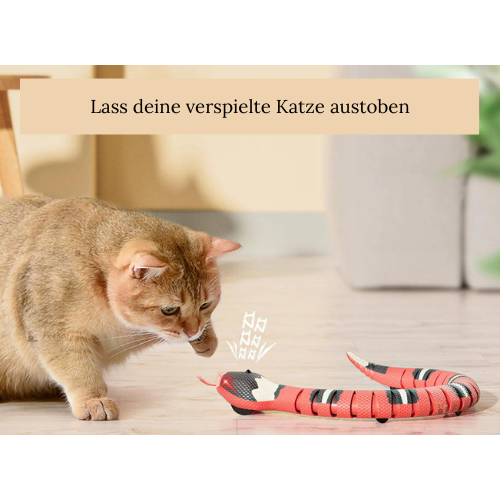 Fun Snake für deine Katze