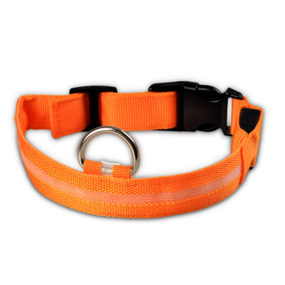 Glow - Hundehalsband