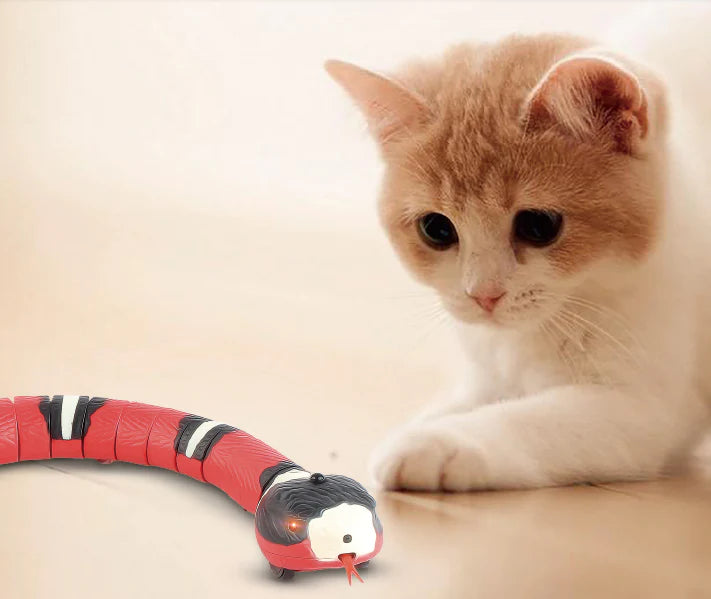 Fun Snake für deine Katze
