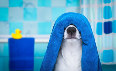Pet's Fan Badetuch